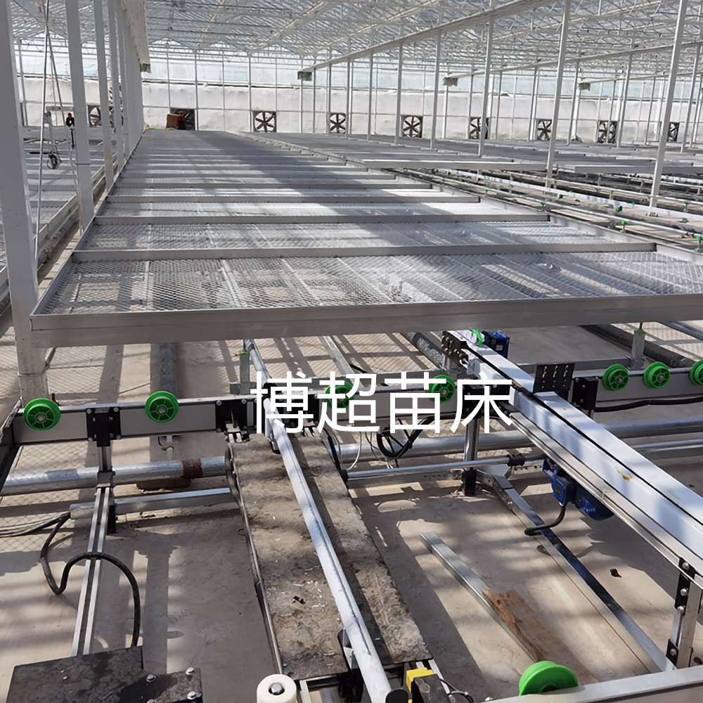 温室大棚育苗物流运输式苗床移动密集种植架图2