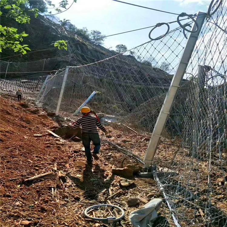 被动网公路边坡防护网边坡治理主动防护网机场安全防护网主动边坡防护网生钛克护坡网图3