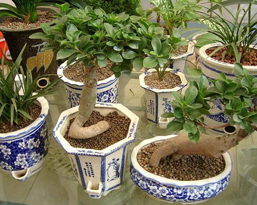 西安沐阳陶粒图2