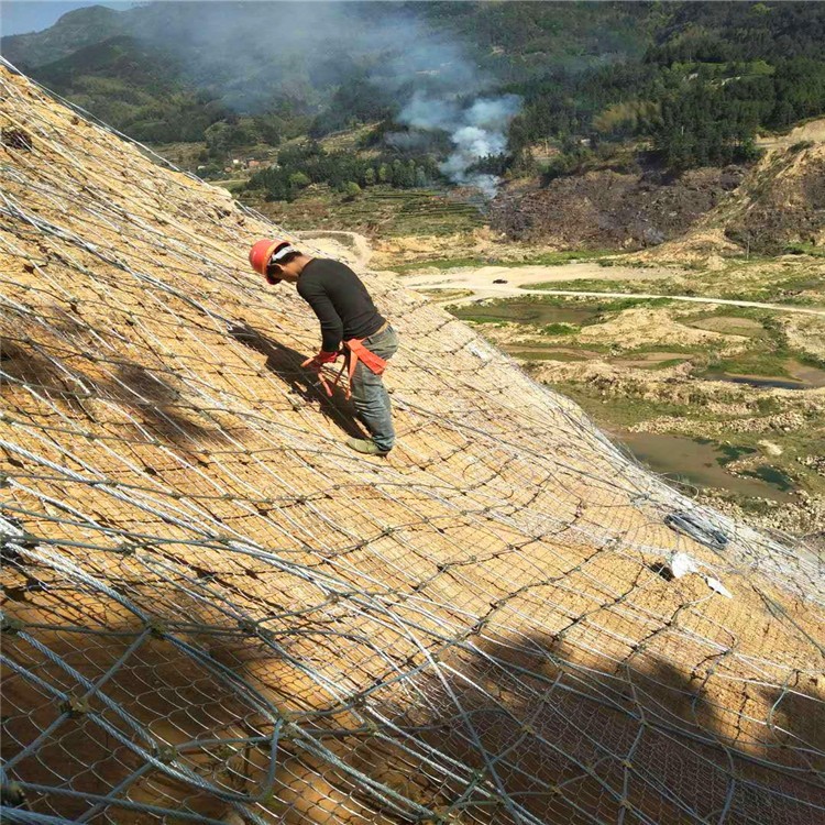 被动边坡防护网 环形拦石网 山体滑坡防护拦截落石图2