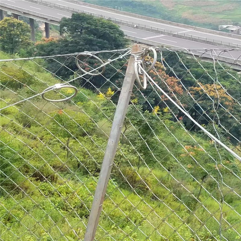 主动边坡防护网 山高山峡谷斜坡 柔性 GPS2护山拦截石头网图4