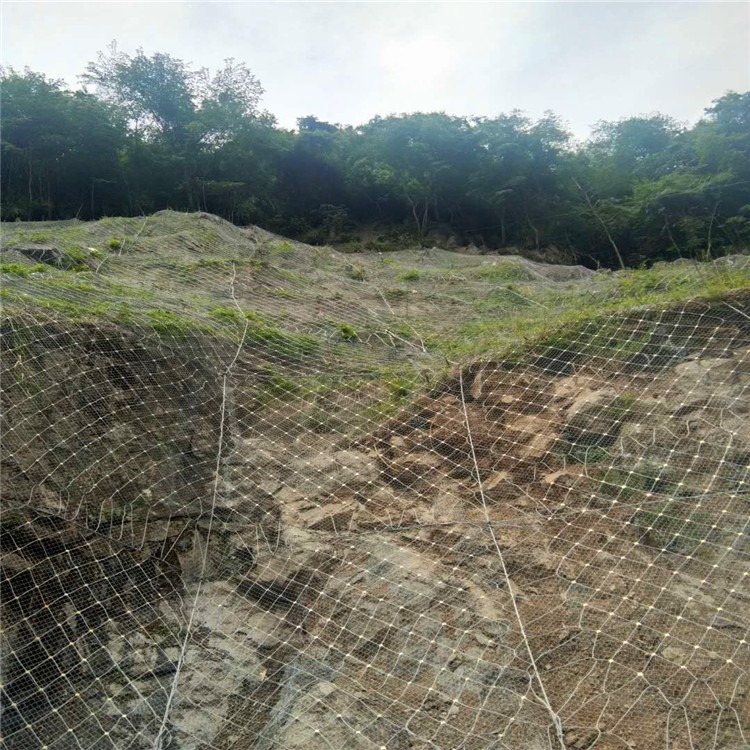 GPS2型主动防护网热镀锌 铁丝网 山体护坡网 边坡固土防落石绿化图2