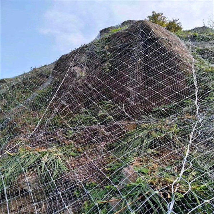 GPS2型主动防护网热镀锌 铁丝网 山体护坡网 边坡固土防落石绿化图5