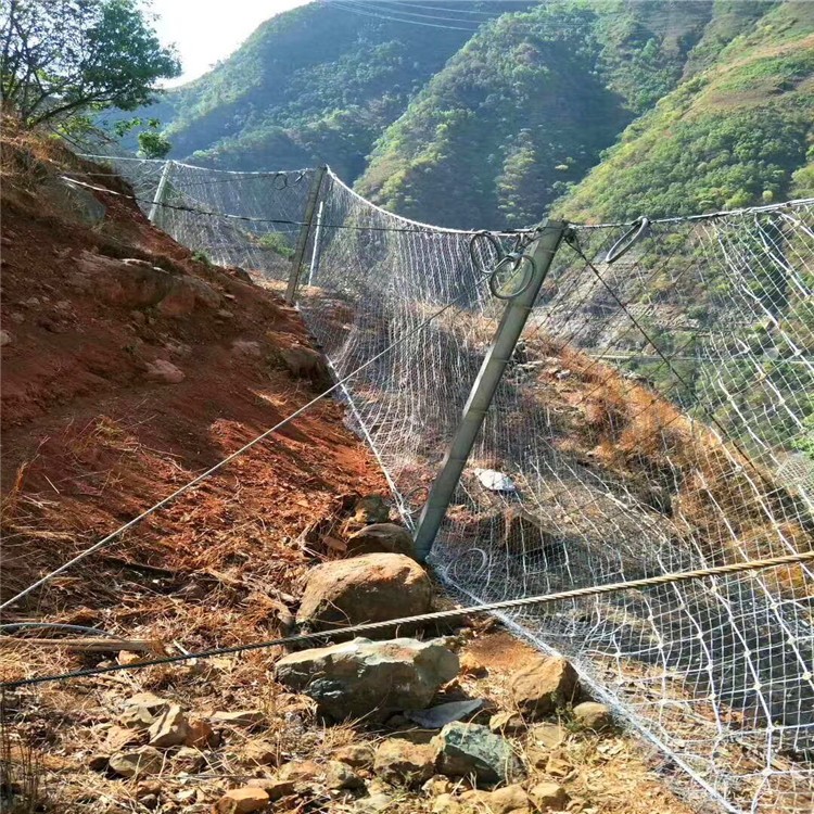 sns柔性镀锌钢丝绳网 环形边坡主动防护网 护坡固土防落石网图4