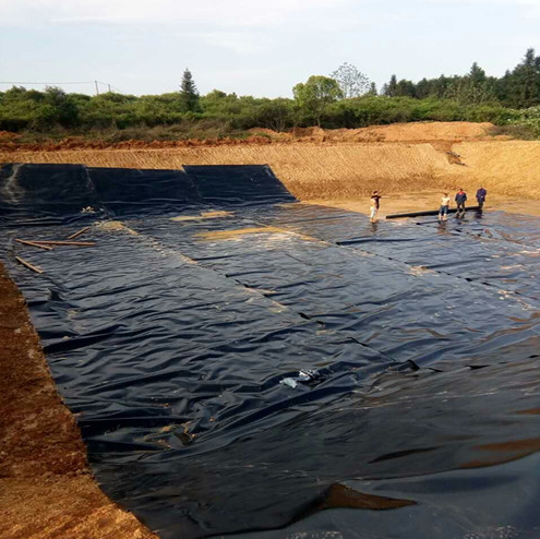 供应陕西土工膜防水 河北土工膜价格  垃圾场土工膜防渗图2