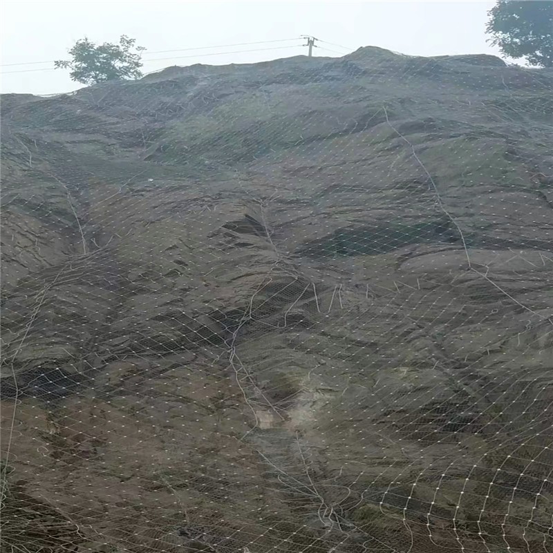 主动防护网 被动边坡固土拦石网 sns柔性山体危岩滑坡治理挂网图5