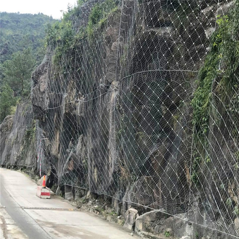 被动边坡防护网 环形拦石网 山体滑坡防护拦截落石图5