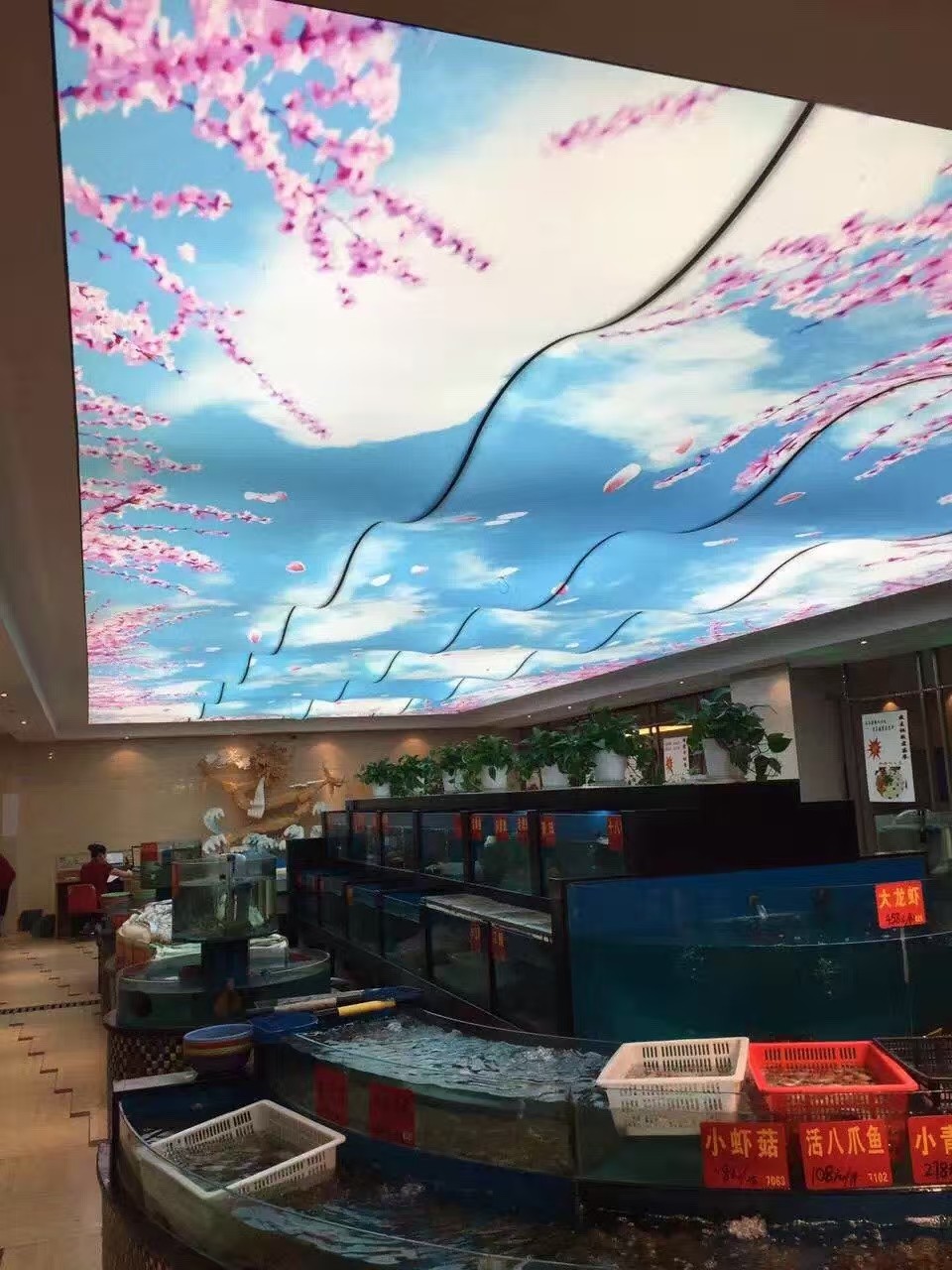 办公楼吊顶 会议室软膜吊顶 软膜灯箱 办公室灯箱 造型吊顶图2
