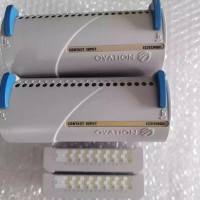 EMERSON艾默生1C31234G01控制器