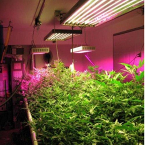 您的产品适合哪种派瑞林parylene涂层做防护?图5