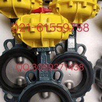 德国依博罗EBRO气动扇形蝶阀规格齐全速发货